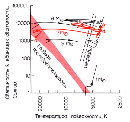 Рис. 6.2. Пути развития звезд с различными массами (возле траекторий указаны величины их масс в единицах массы Солнца). Если путь развития звезды с массой, равной солнечной, ведет ее в область красных гигантов (см. также рис. 5.1), то более тяжелые звезды приходят в область красных сверхгигантов. Траектория развития звезды с массой в 7 раз больше солнечной показана красным цветом. На этой траектории буквами отмечены точки, для которых на рис. 6.1 показана внутренняя структура этой звезды. Параллельные штриховые линии ограничивают на диаграмме область существования цефеид.