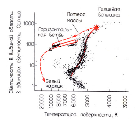 Рис. 7.2. Диаграмма Г-Р, на которой схематически показан путь развития звезд, подобных нашему Солнцу. Вначале эти звезды долго находятся на главной последовательности. Затем они превращаются в красные гиганты (как показано на рис. 5.4). Там в их недрах начинается горение гелия (гелиевая вспышка). В состоянии красного гиганта звезда выбрасывает со своей поверхности так много вещества, что она постепенно начинает перемещаться по диаграмме вдоль горизонтальной ветви. Затем звезда, по всей видимости, превращается в белый карлик. Для сравнения на диаграмме показаны звезды из шарового звездного скопления МЗ, диаграмма Г-Р которого приведена на рис. 2.9.