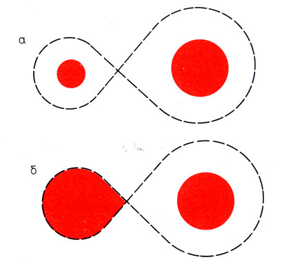 Рис. 9.2. а - разделенная двойная система. Каждая из звезд заметно меньше своего объема Роша, показанного черной штриховой линией; б - полуразделенная двойная система. Левая звезда полностью заполнила свой объем Роша.