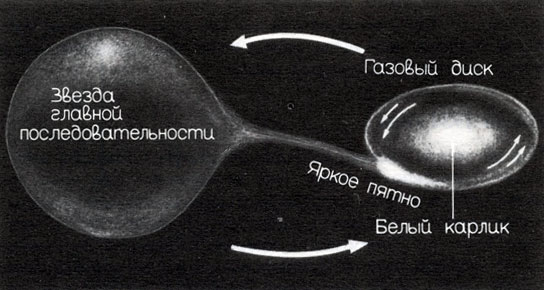 Рис. 9.8. Компоненты двойной системы, которую мы наблюдаем как Новую, движутся в направлении красных стрелок. Звезда главной последовательности заполнила свою полость Роша. Вещество с ее поверхности переходит на спутник - белый карлик. Однако прежде чем упасть на белый карлик, вещество образует вращающийся диск (диск аккреции). Там, где поток вещества попадает на диск аккреции, наблюдается горячее яркое пятно. (Рисунок X. Риттера.)